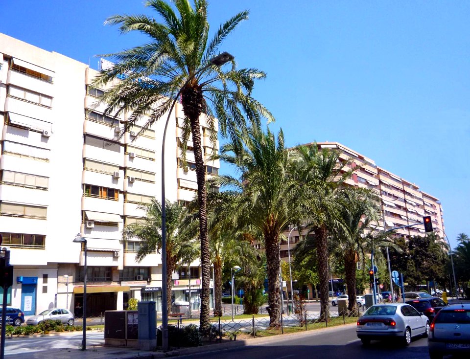 Alicante - Avenida Óscar Esplá 3