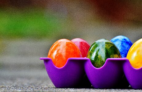 Happy easter egg colored photo