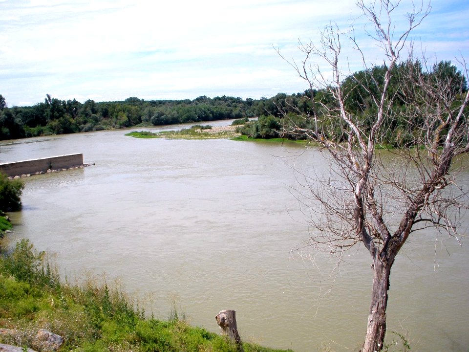Alcalá de Ebro 06
