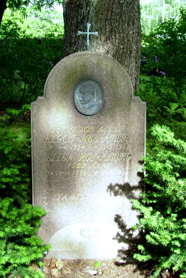 Algot Key-Åberg, norra