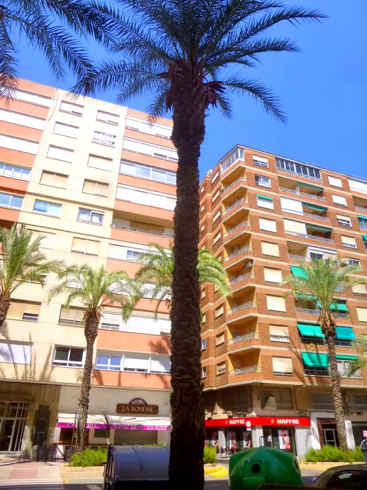 Alcira - Apartamentos 07