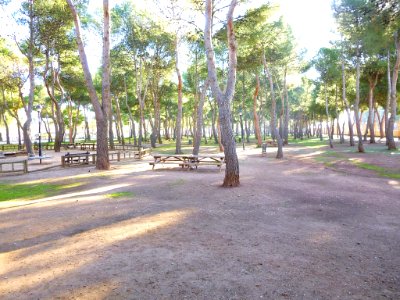 Alcázar de San Juan - Parque Alces 01