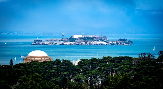 Alcatraz (237239059) photo