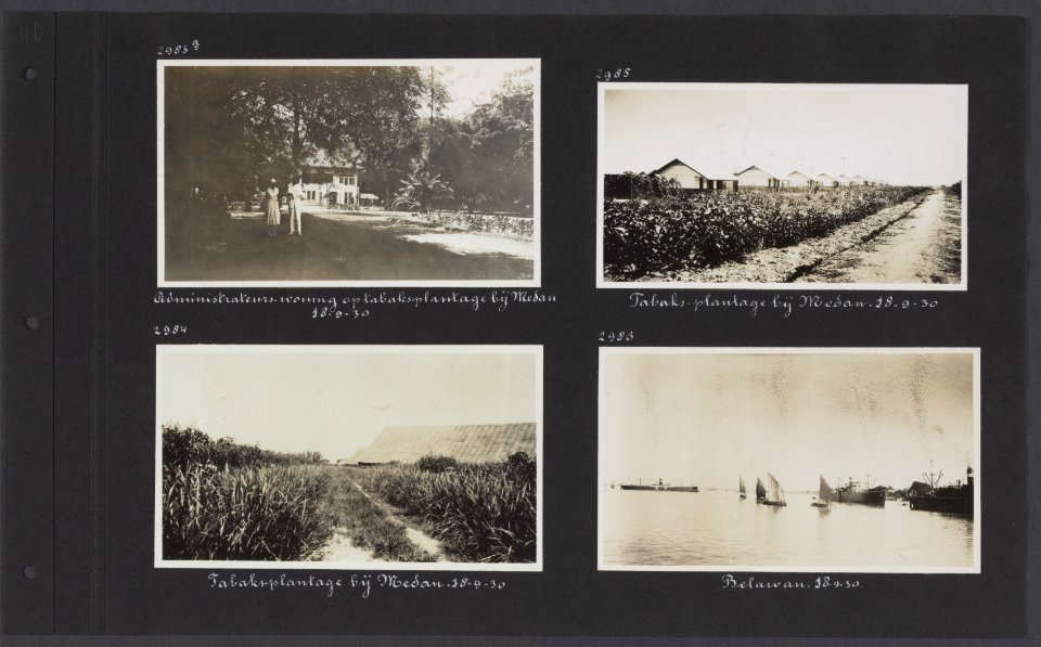 Albumblad met vier fotos. Linksboven administrateurswoning op een tabaksplanta, Bestanddeelnr 34 81