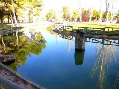 Alcázar de San Juan - Parque Alces 04