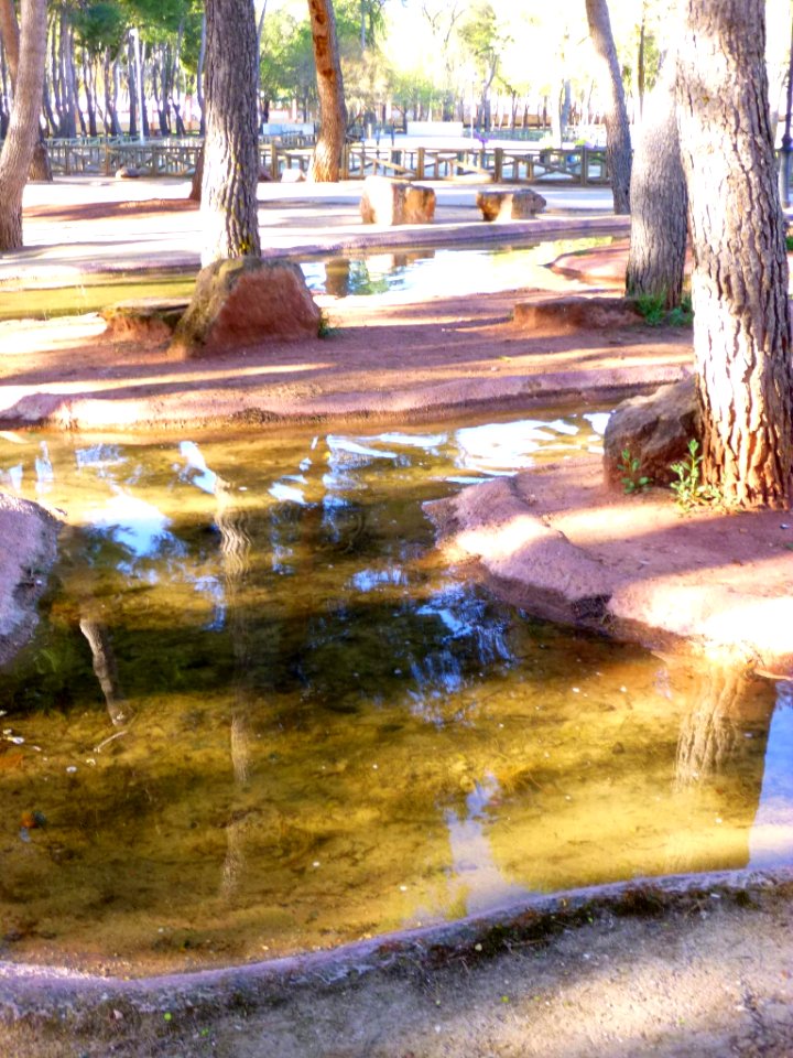 Alcázar de San Juan - Parque Alces 08