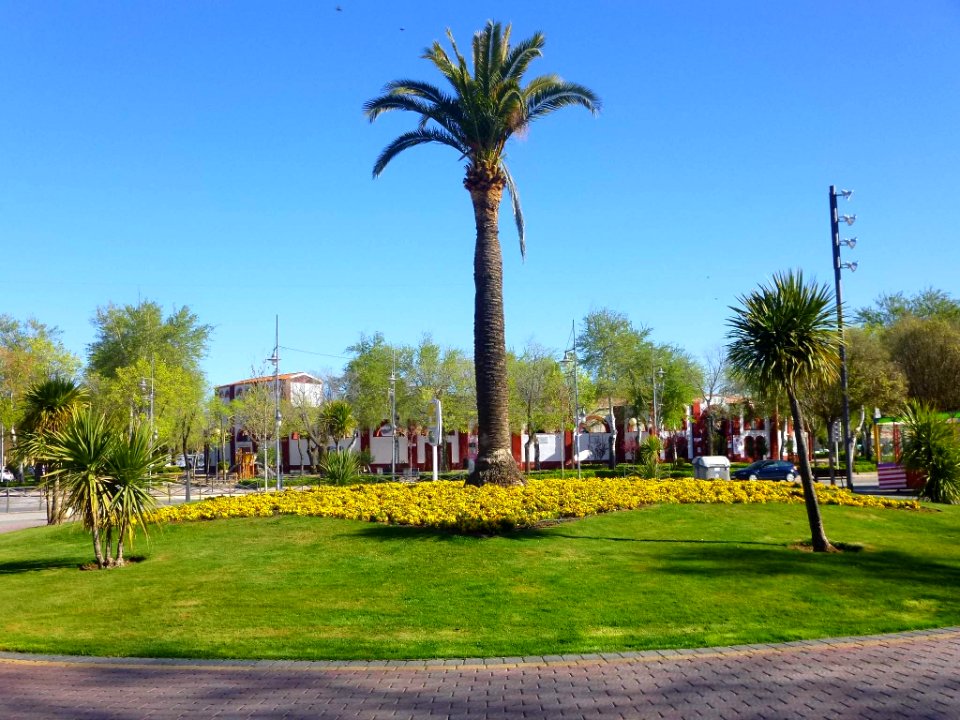Alcázar de San Juan - Paisaje urbano 03