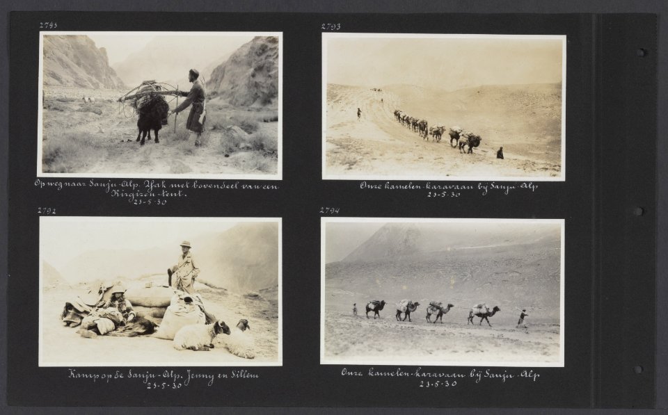 Albumblad met vier fotos. Linksboven een yak met het bovendeel van een Kirgiez, Bestanddeelnr 34 24