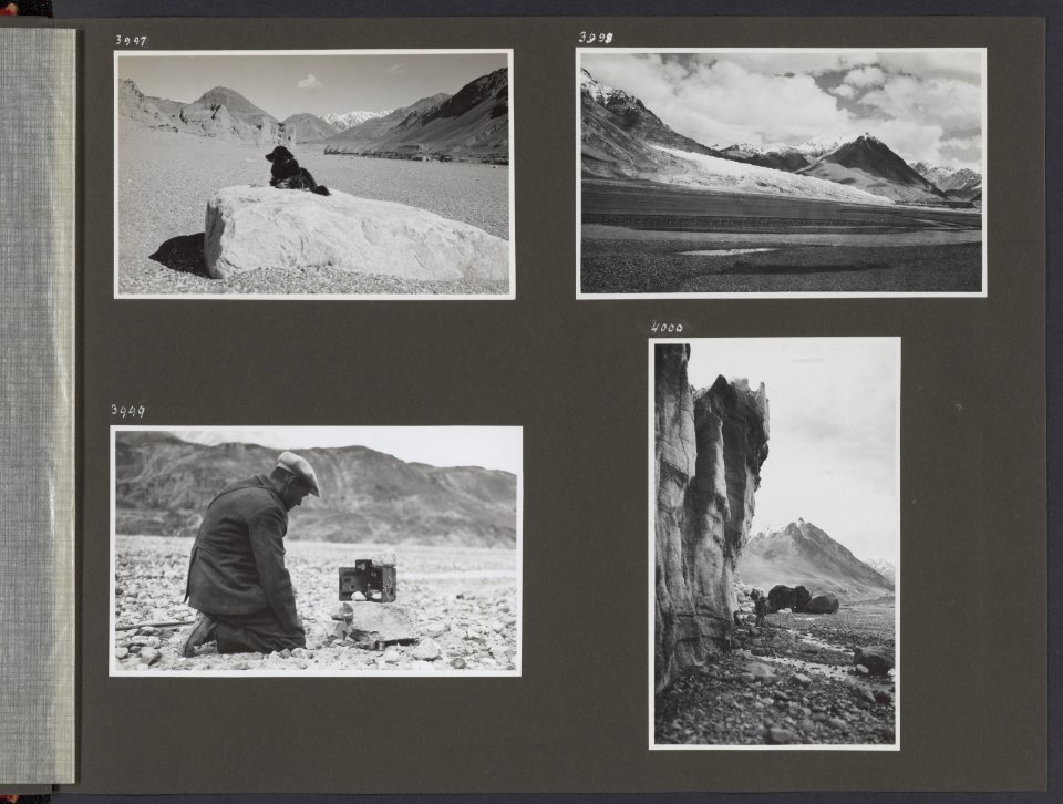 Albumblad met vier fotos. linksboven De hond Jesser, een Tibetaanse mastiff in, Bestanddeelnr 38 27
