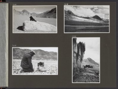 Albumblad met vier fotos. linksboven De hond Jesser, een Tibetaanse mastiff in, Bestanddeelnr 38 27
