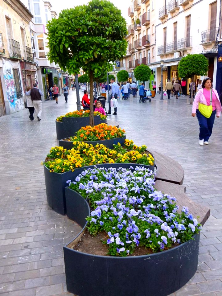 Alcázar de San Juan - Paisaje urbano 10