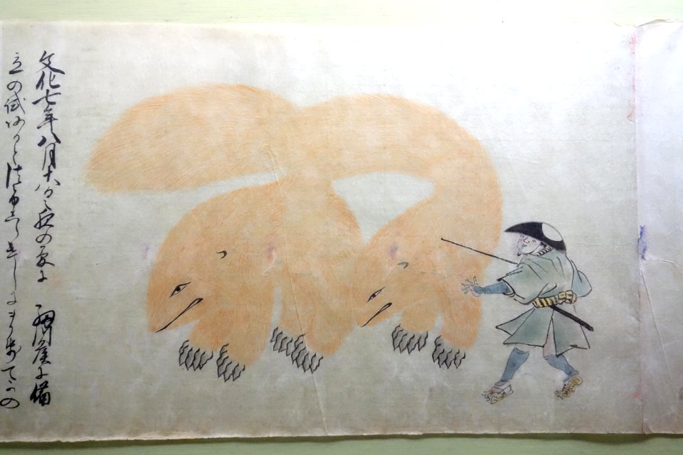 Album of Rare Animals 3, Edo period, 18th century, color on paper - Tokyo National Museum - DSC05507