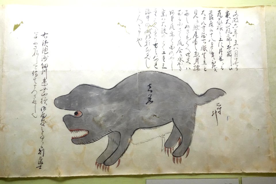 Album of Rare Animals 2, Edo period, 18th century, color on paper - Tokyo National Museum - DSC05506