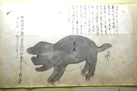 Album of Rare Animals 2, Edo period, 18th century, color on paper - Tokyo National Museum - DSC05506