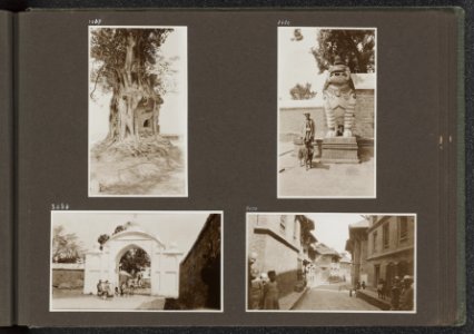Albumblad met vier fotos. Linksboven bouwwerkje omklemd door een aantal boomst, Bestanddeelnr 37 21