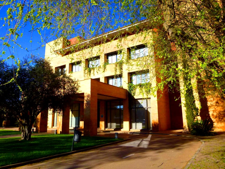 Alcázar de San Juan - Hotel Intur 3