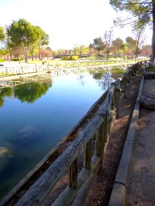 Alcázar de San Juan - Parque Alces 05