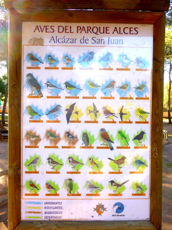 Alcázar de San Juan - Parque Alces 03