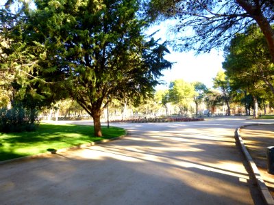 Alcázar de San Juan - Parque Alces 02