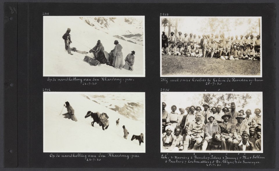 Albumblad met vier fotos. Linksboven en linksonder koelies met paarden op de n, Bestanddeelnr 34 59