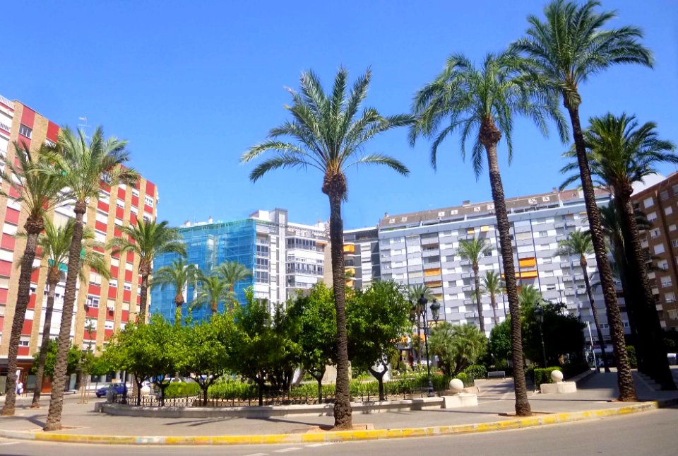 Alcira - Plaça del Regne 01