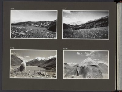 Albumblad met vier fotos. linksboven Gletsjertong van een zijgletsjer in het S, Bestanddeelnr 38 28