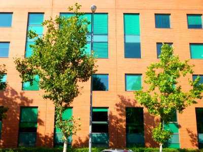Alcobendas - Ayuntamiento 13