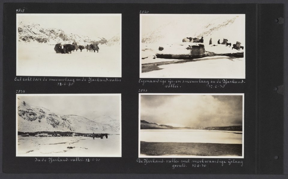 Albumblad met vier fotos. Linksboven een van de ezels zakt door de sneeuwlaag , Bestanddeelnr 34 38