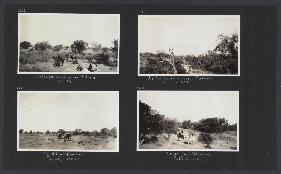 Albumblad met vier foto's met de olifantenjacht in Patiala, Bestanddeelnr 32 38