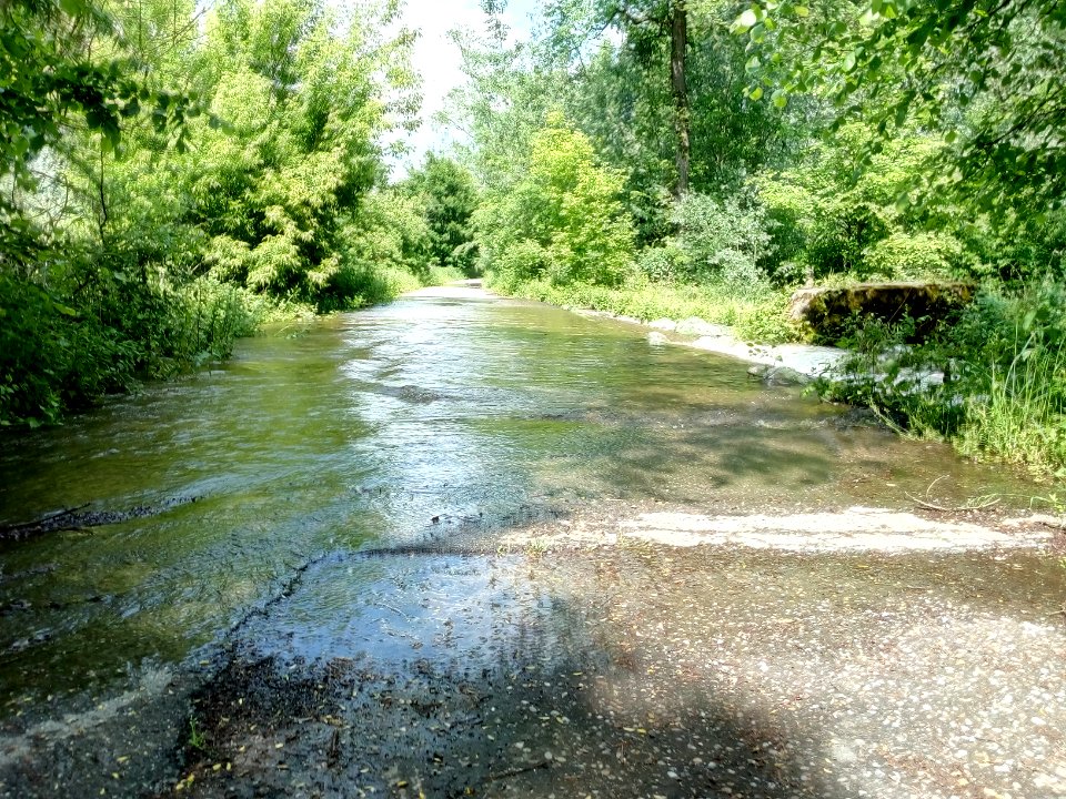 Albkanal, Furt zum Altrhein Kleiner Bodensee, Überflutung bei Pegel Maxau 740 (5)