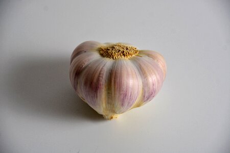 Condiment head of garlic garden plant
