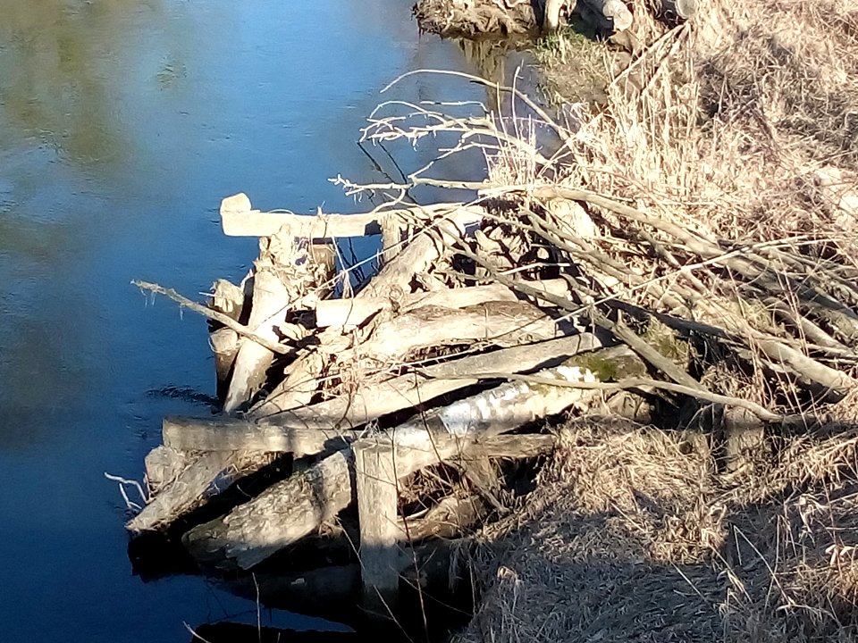 Albkanal, renaturierter Abschnitt, Detail Totholz