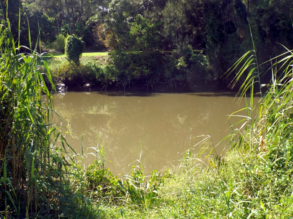 Albert River at Bannockburn, Queensland
