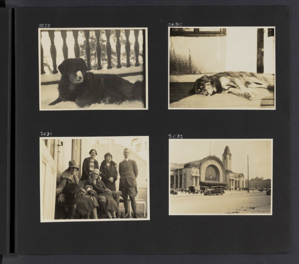 Albumblad met vier fotos. Linksboven en rechtsonder de hond Patiala linksonde, Bestanddeelnr 31 17