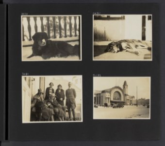 Albumblad met vier fotos. Linksboven en rechtsonder de hond Patiala linksonde, Bestanddeelnr 31 17