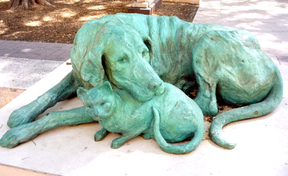 Alcira - Plaça Constitució. Dedicado a los perros y gatos abandonados, y a las personas que se hacen cargo de ellos 2