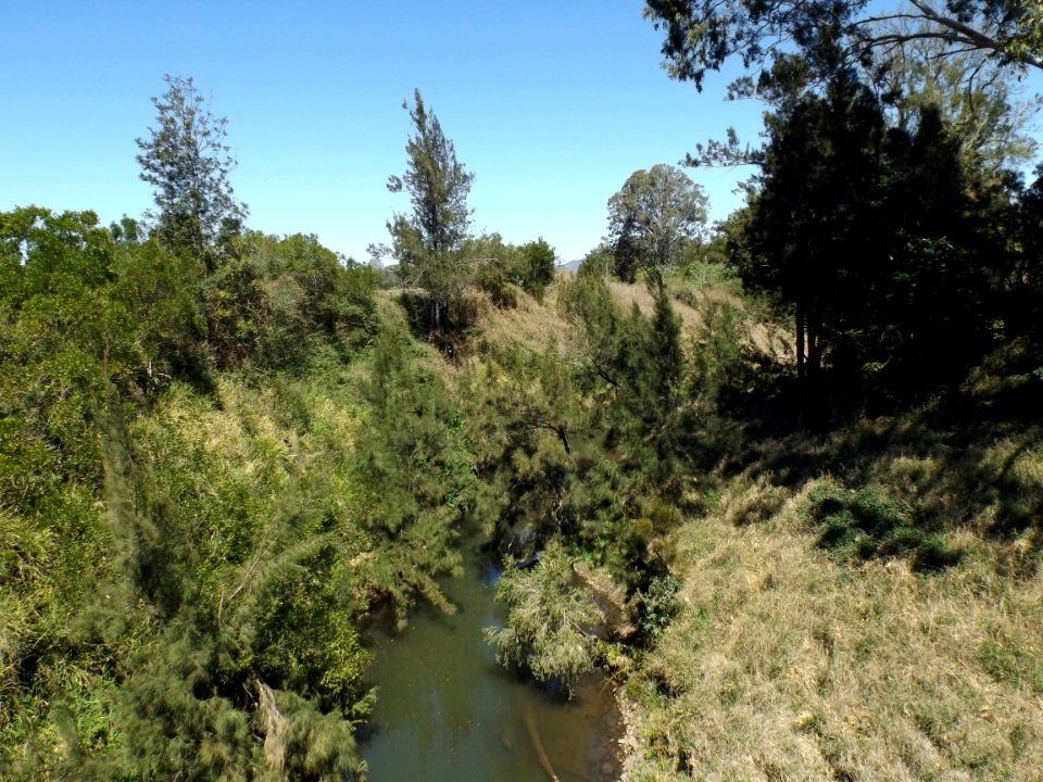 Albert River looking upstream at Nindooinbah Bridge