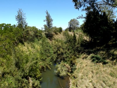 Albert River looking upstream at Nindooinbah Bridge