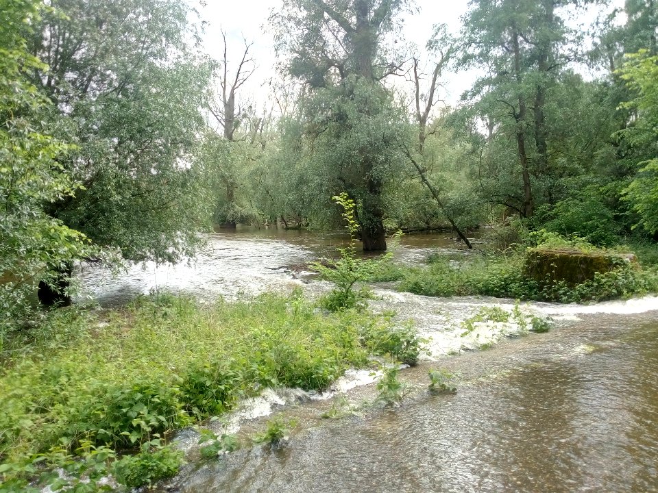 Albkanal, Furt zum Altrhein Kleiner Bodensee, Überflutung bei Pegel Maxau 740