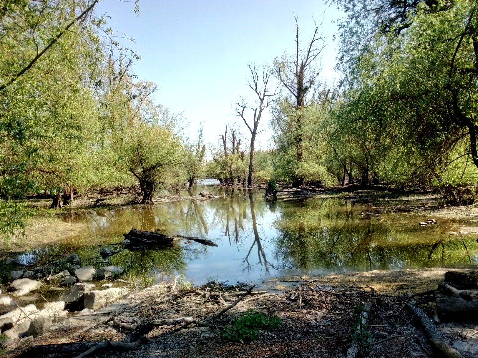 Albkanal, Verbindung zum Kleinen Bodensee (3)