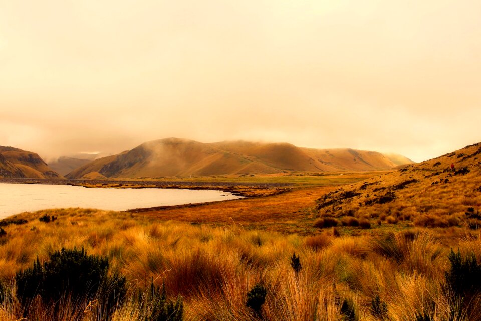 Morning fog lake photo