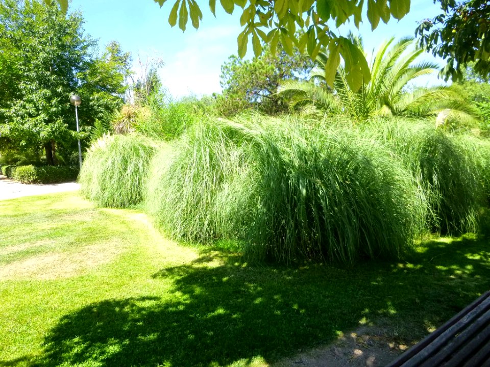 Alcobendas - Parque Jardín de la Vega 4