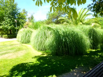 Alcobendas - Parque Jardín de la Vega 4