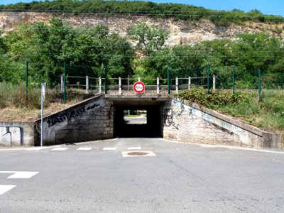 Albigny-sur-Saône - Pont de chemin de fer au bout du chemin des Carrières