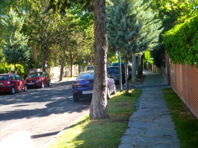 Alcobendas - Urbanización La Moraleja 13