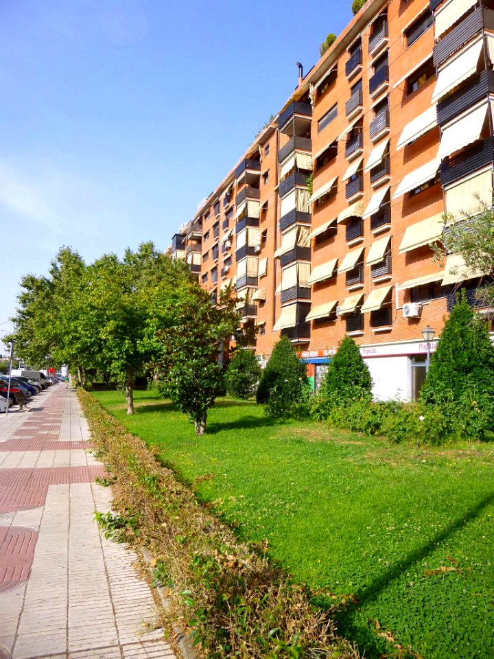 Alcorcón - 46