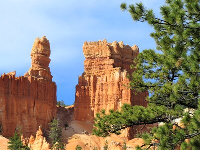 Park landscape desert