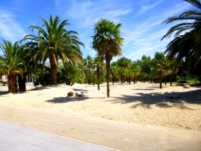 Alcobendas - Parque Jardín de la Vega 3