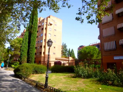 Alcorcón - 50