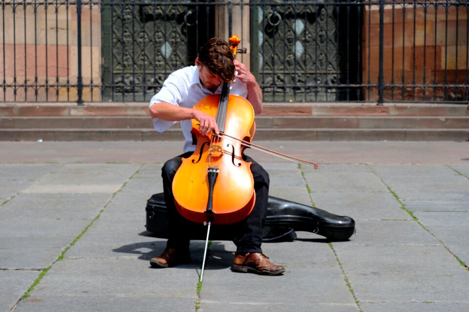Violin bow strasbourg cathedral